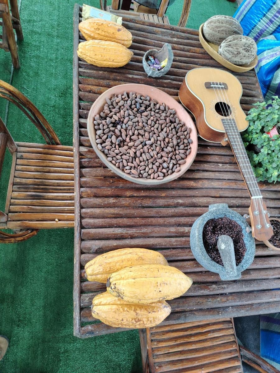 Actividades culturales y de cacao